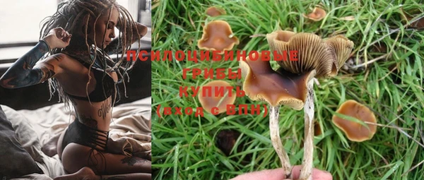 mdpv Волосово